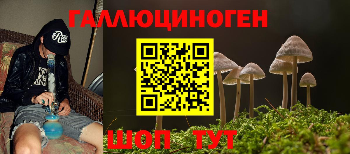 Камышлов  Псилоцибиновые грибы Psilocybine cubensis  Вход с VPN 